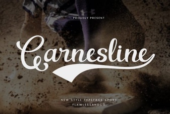 Garnesline Font: Modern Elegance for Graphic Design