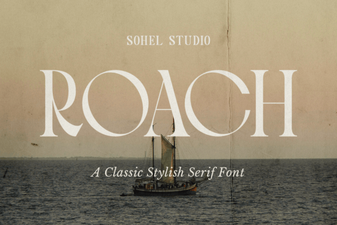 Roach Font: a Guide to Design & Download